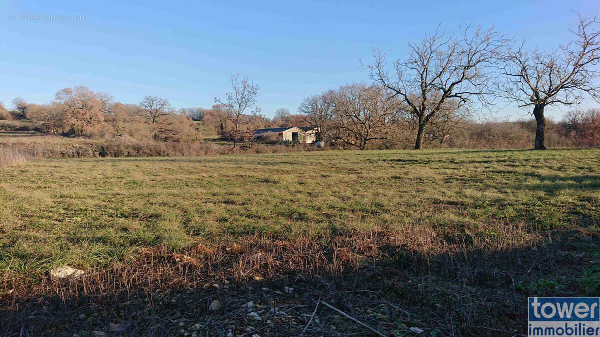 Terrain à VILLENEUVE