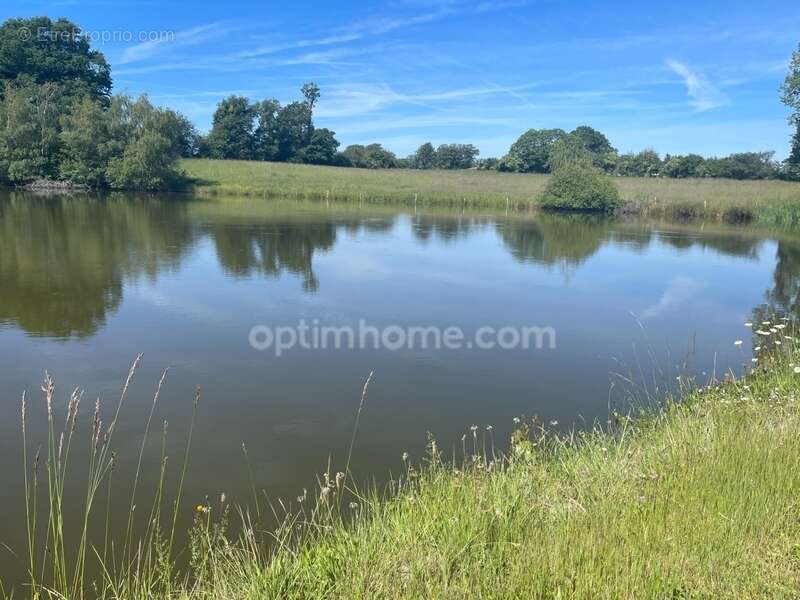 Maison  sur 8853 m2  avec étang, jardin plat et dépendances - photo 2