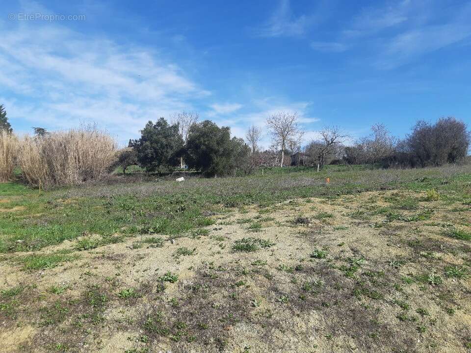 Terrain à VILLENEUVE-LES-BOULOC