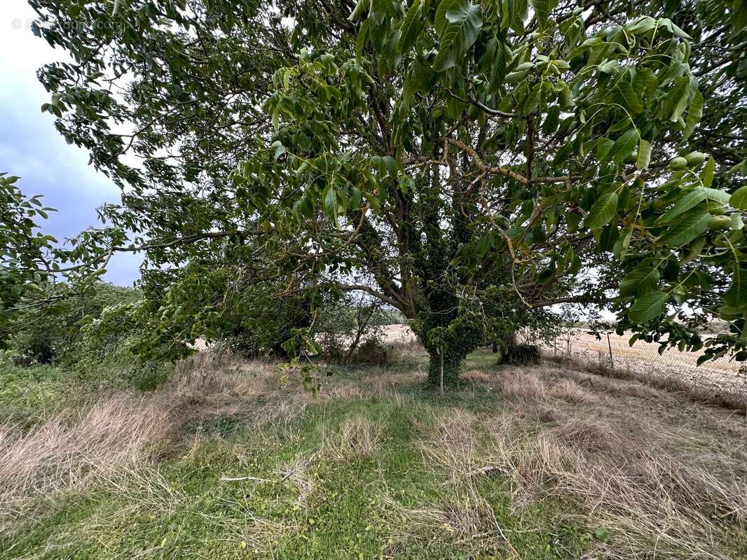 Terrain à VALPUISEAUX