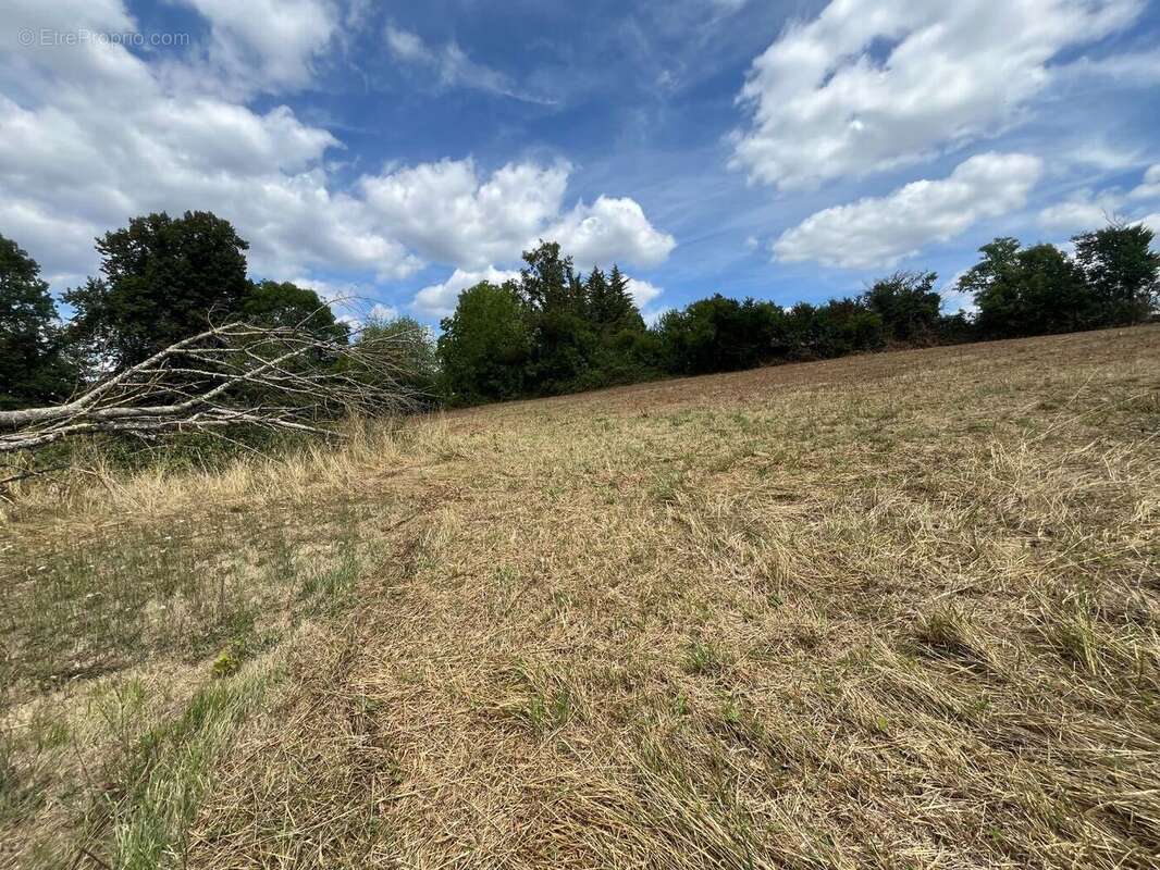 Terrain à RAZAC-SUR-L'ISLE
