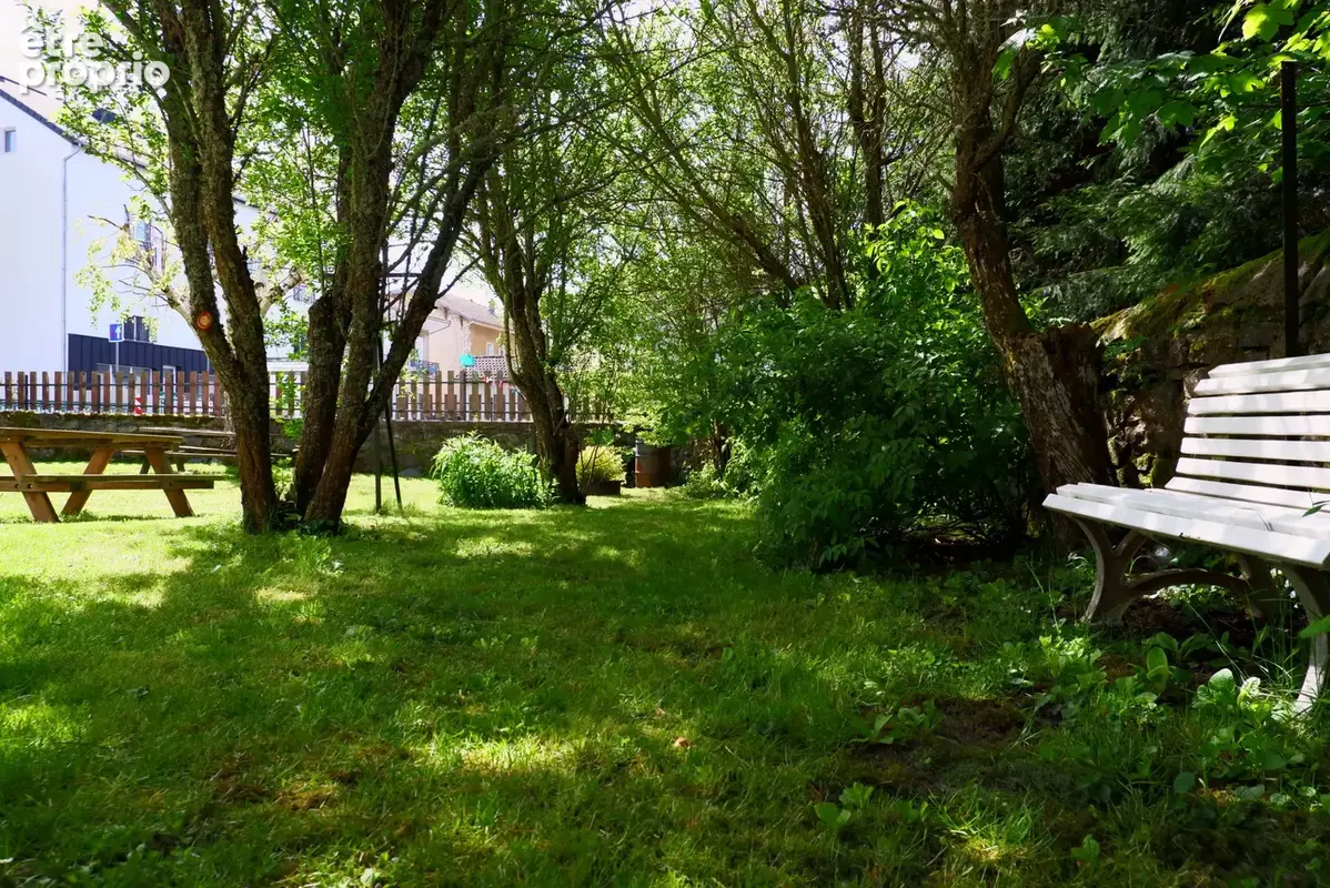 Maison en pierre de 221 m2 avec dépendances et gîte - Le Mazet-Saint-Voy - photo 43