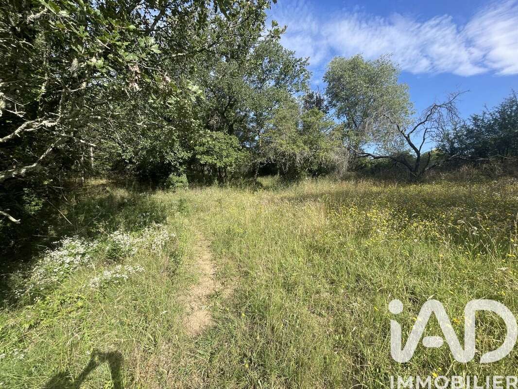 Photo 2 - Terrain à LAGORCE