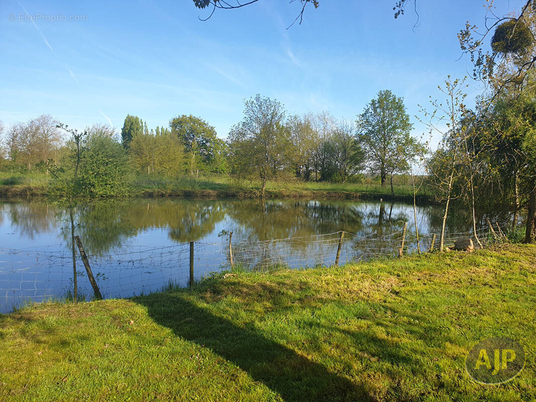 Terrain à MONTAIGU