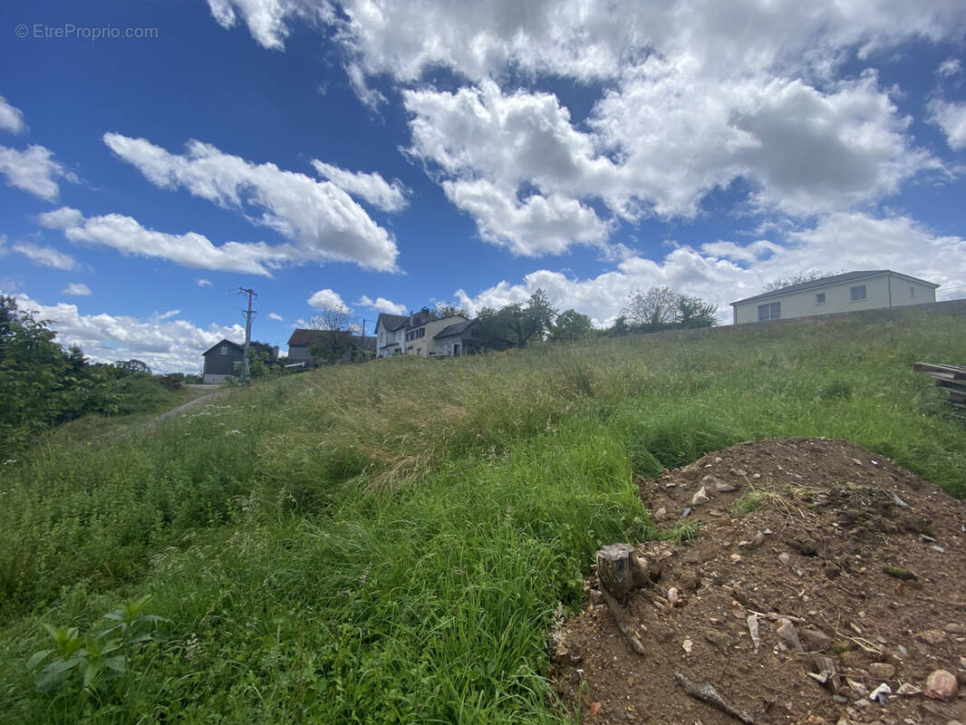 Terrain à SAINTE-FEREOLE
