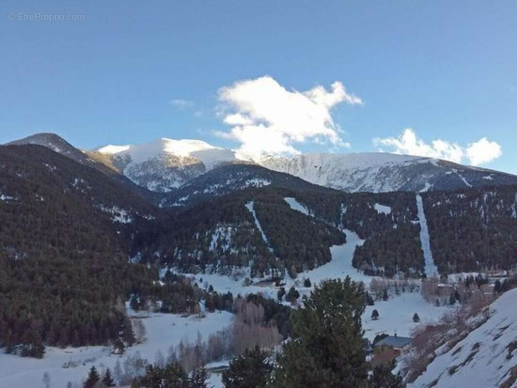 Photo 6 - Terrain à SAINT-PIERRE-DELS-FORCATS