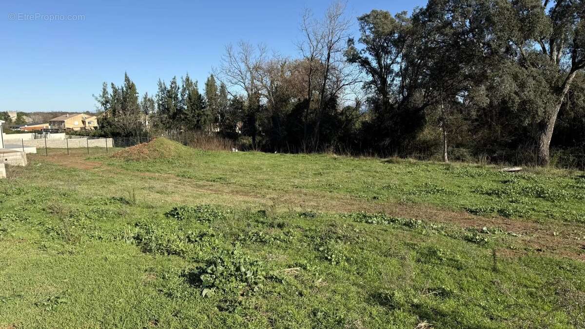 Terrain à POGGIO-MEZZANA