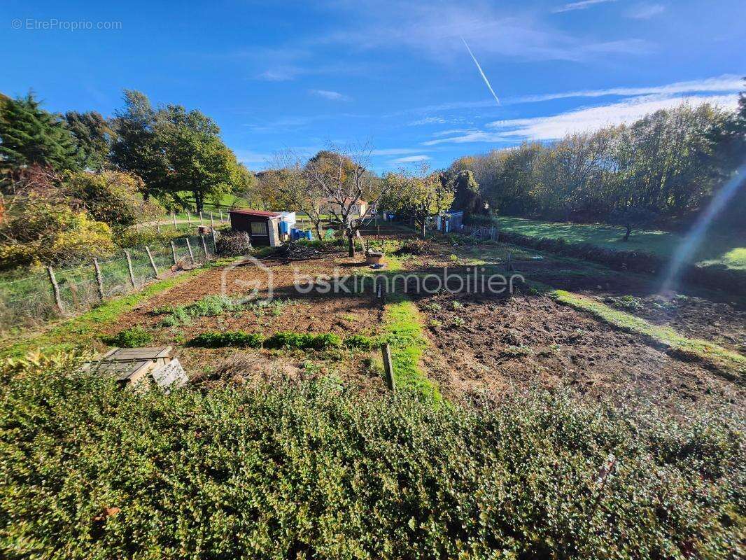 Terrain à JAZENEUIL