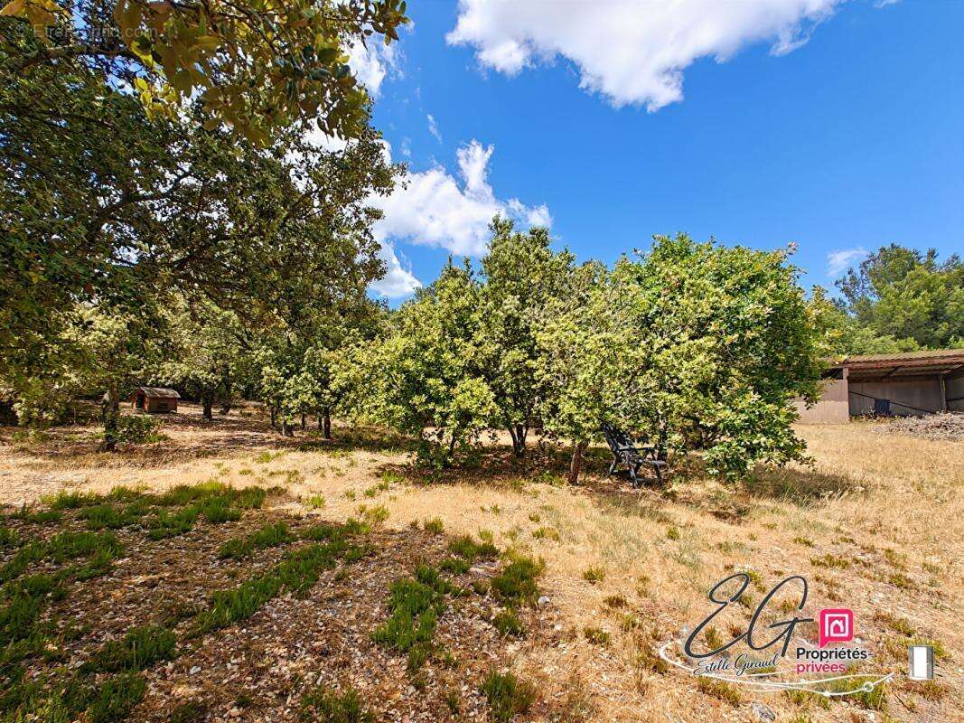 Domaine de charme : Propriété avec piscine et deux logements indépendants au coeur de la nature - photo 16
