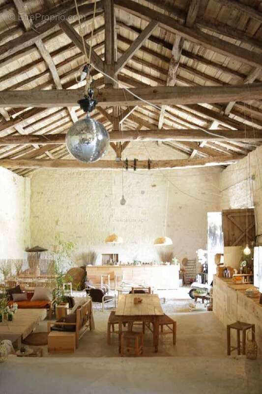 Chateau sur 8 hectares - photo 16