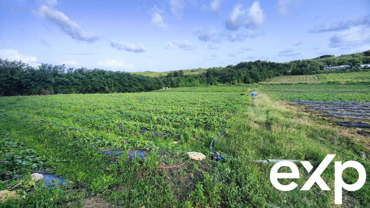 Terrain à LE VAUCLIN
