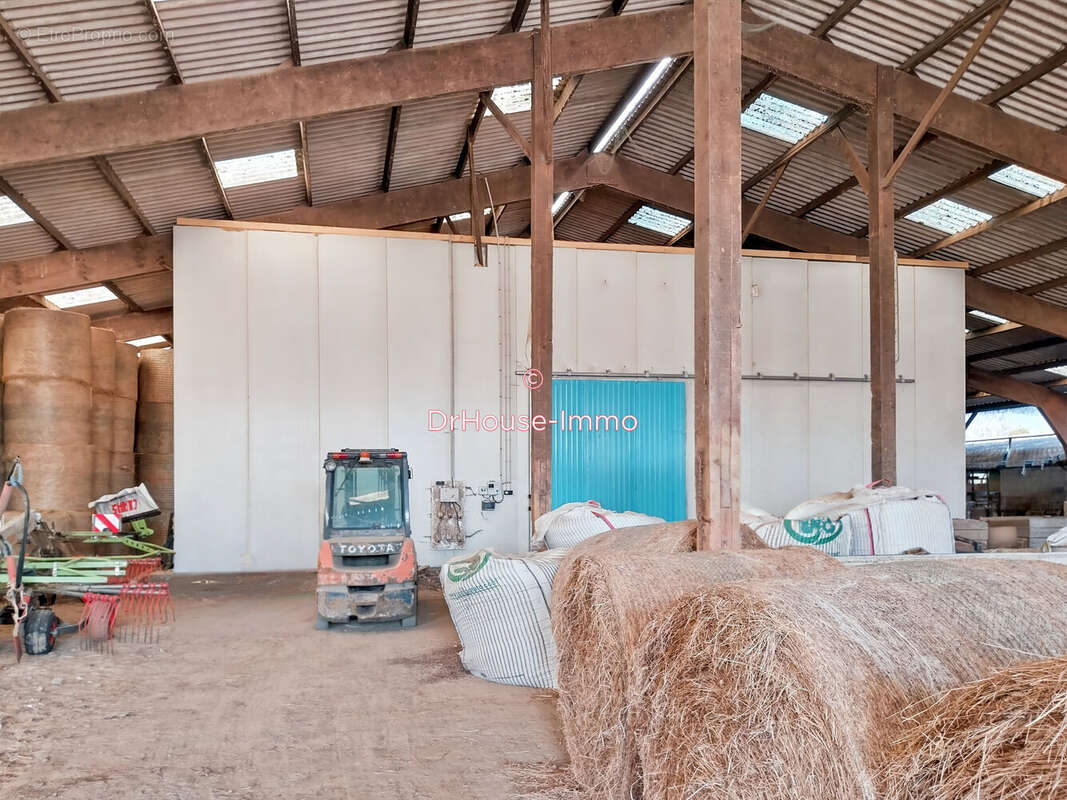 Autre à PERCY-EN-AUGE