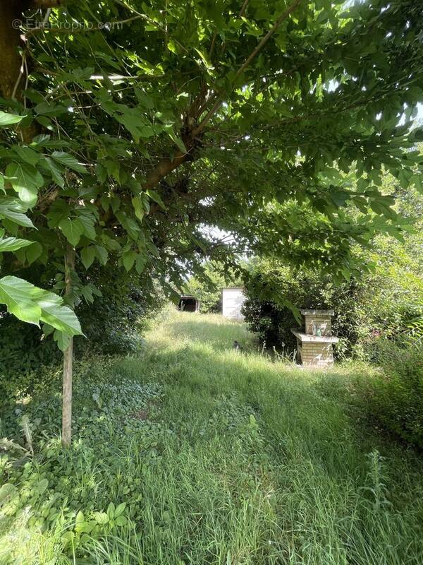 Maison à VILLENAVE-D'ORNON