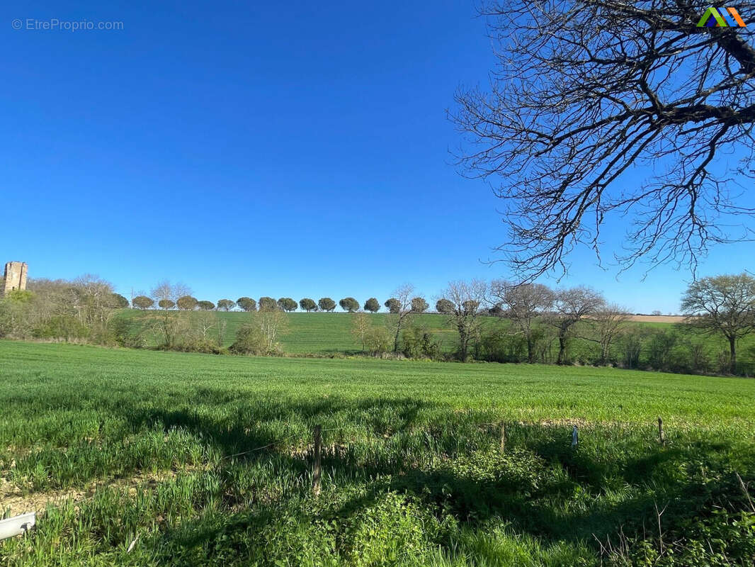 Maison 151 m² à L'isle-De-Noe  - photo 2