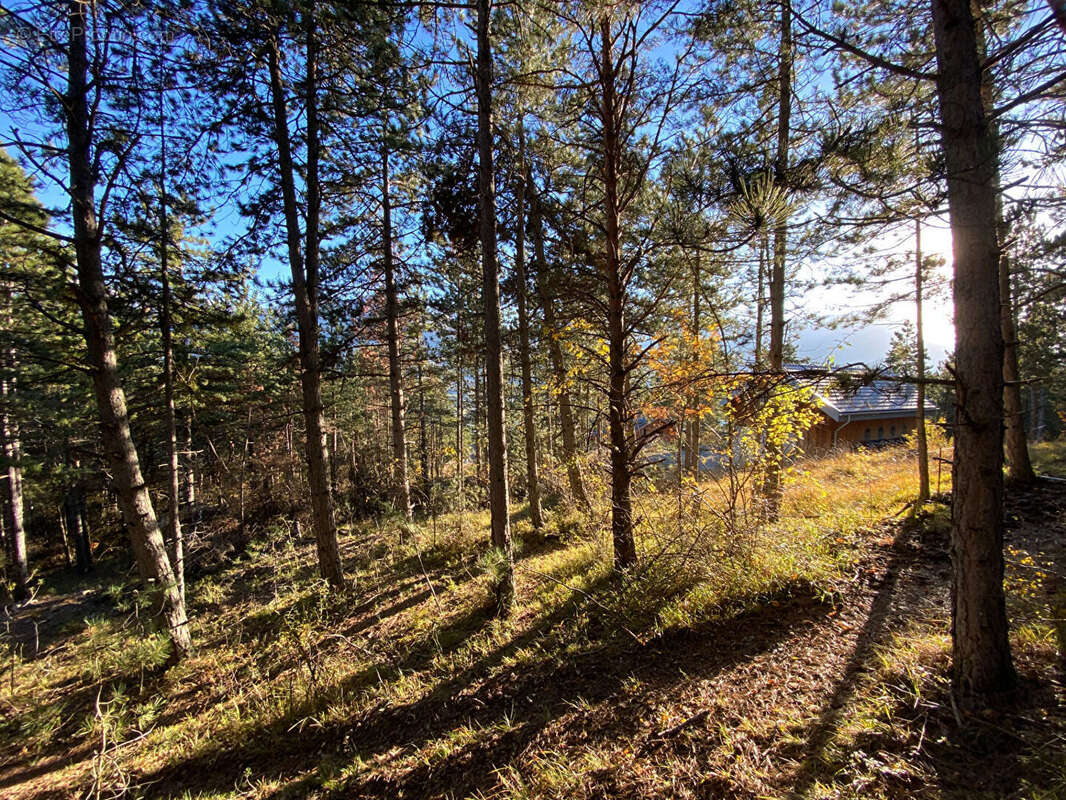 Photo 5 - Terrain à EMBRUN