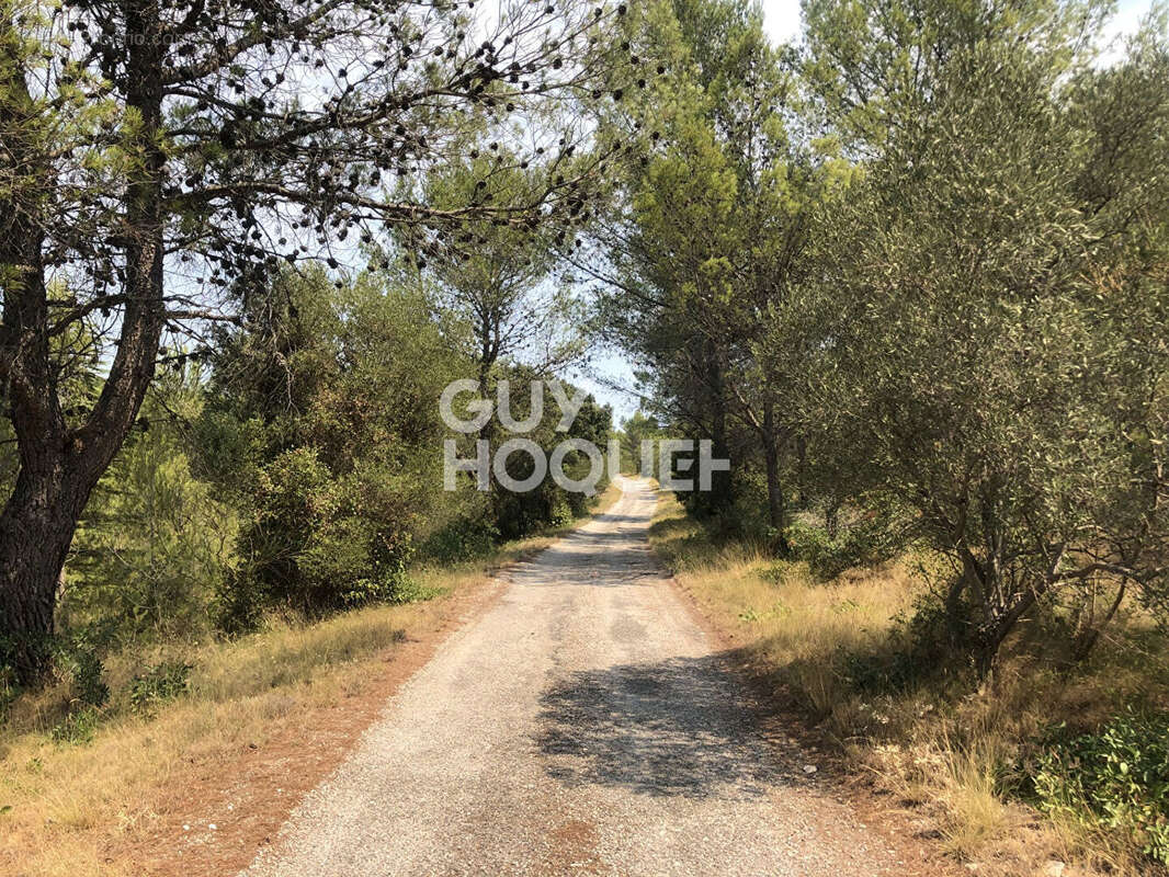 Maison Tarascon dans la garrigue sur 3205 m² - photo 4