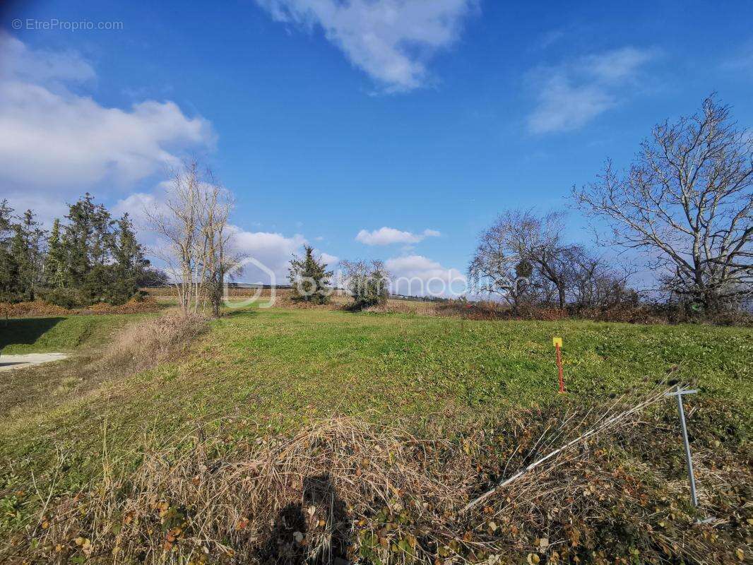 Terrain à CONTAMINE-SARZIN