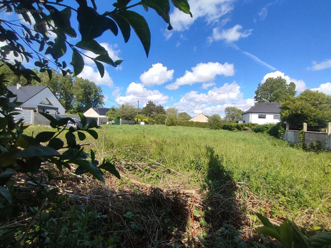 Terrain 500m² à coulogne - photo 2