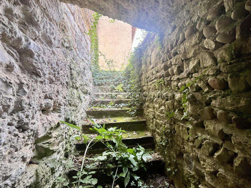 Maison en pierre à rénover avec jardin – Une belle opportunité au cœur de Saint-Didier-de-Formans - photo 2