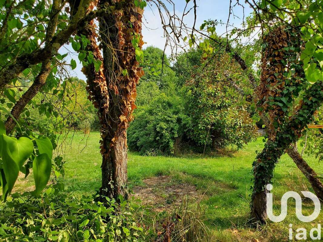 Photo 5 - Maison à SAINT-SAUVIER