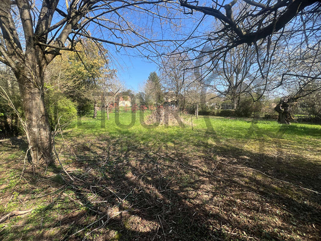 Terrain à BOISSY-LE-CHATEL