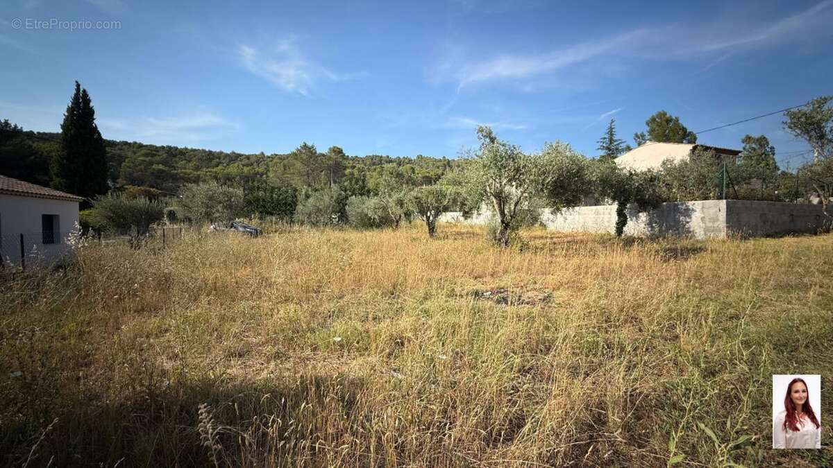 Terrain Constructible et viabilisé Salernes 1300 m2 avec cabanon cadastré - photo 2