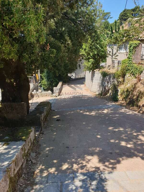 Terrain de 495 m² à L’Ospedale, Commune de Porto-Vecchio - photo 15