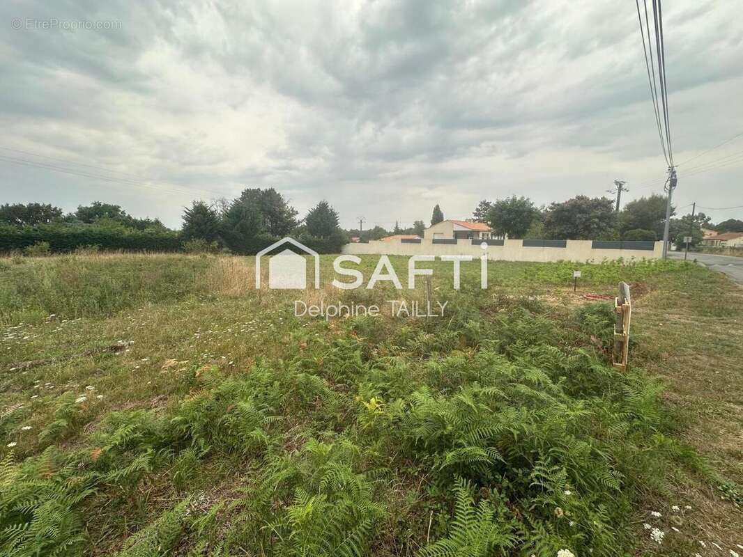 Photo 2 - Terrain à SAINT-MARS-DE-COUTAIS