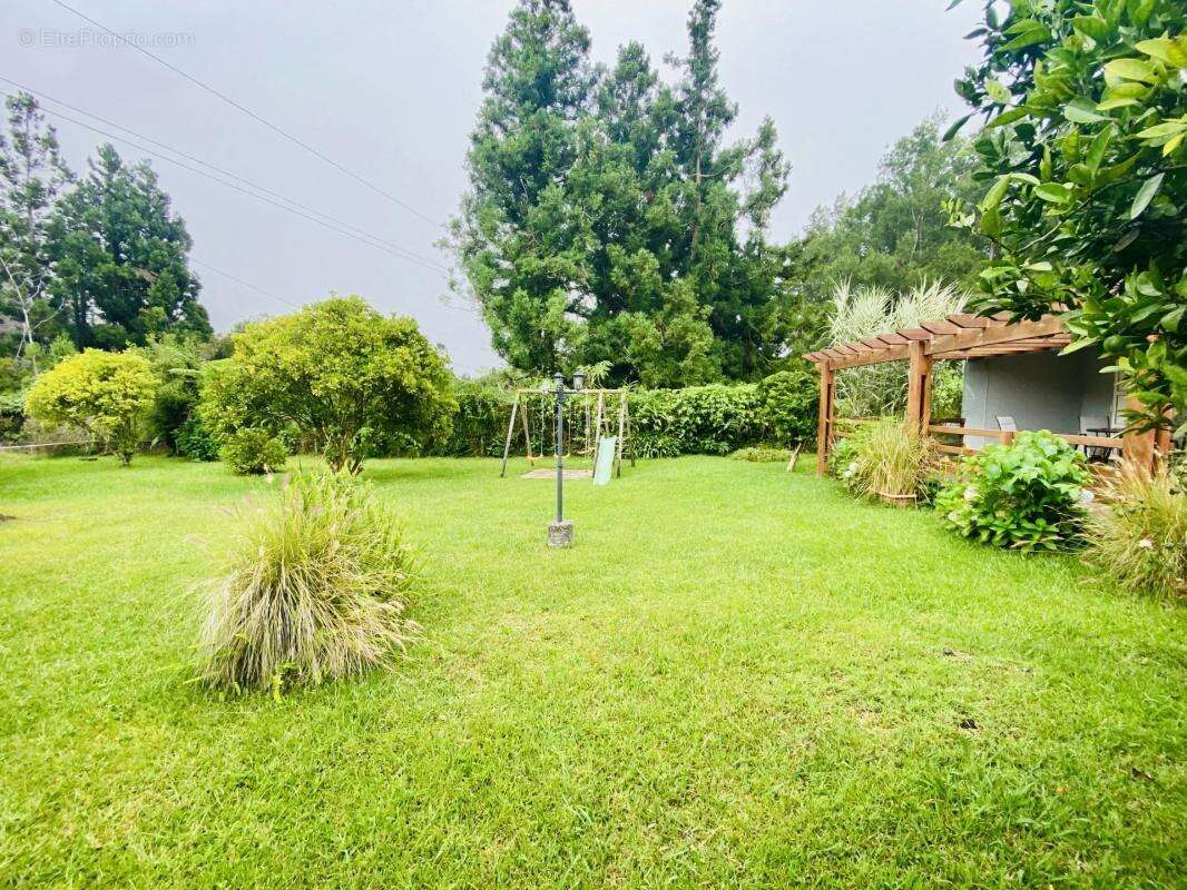 Maison à LA PLAINE-DES-PALMISTES