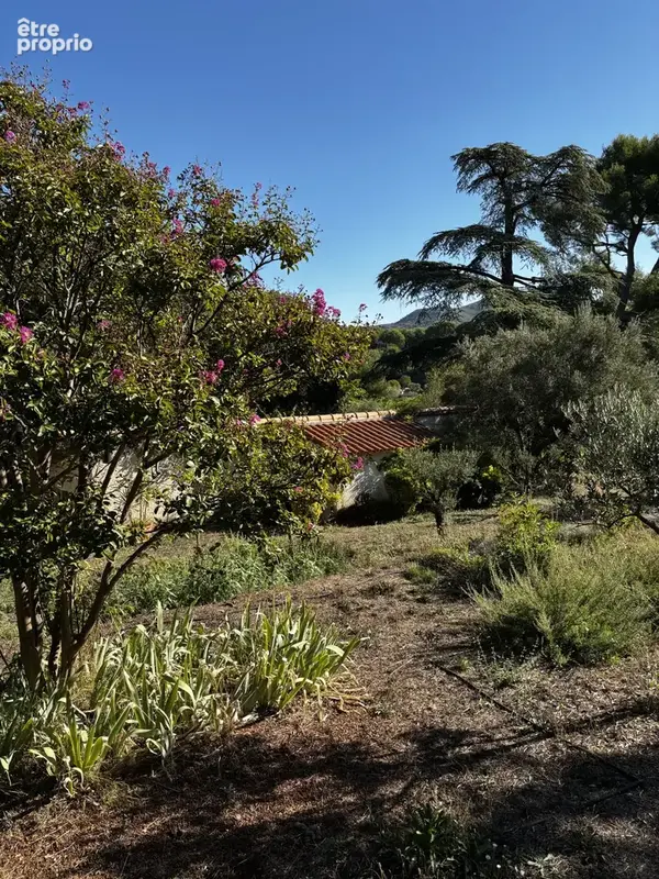 Allauch - Maison de plain-pied extension possible - 120 m2 - secteur Enco de Botte - photo 6