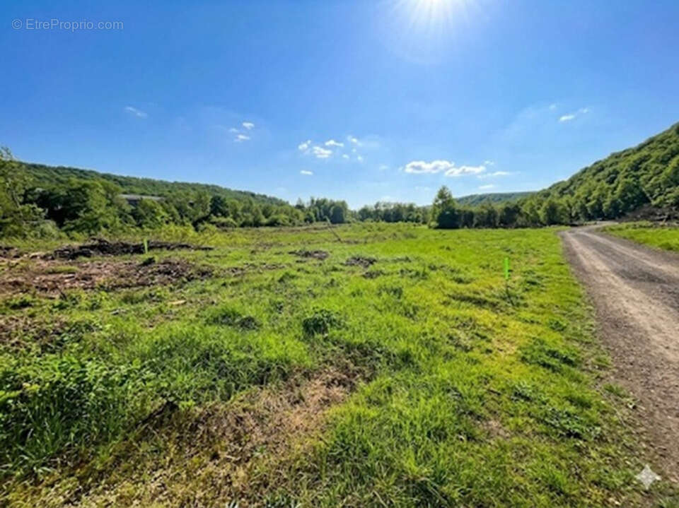 Terrain à ALGRANGE