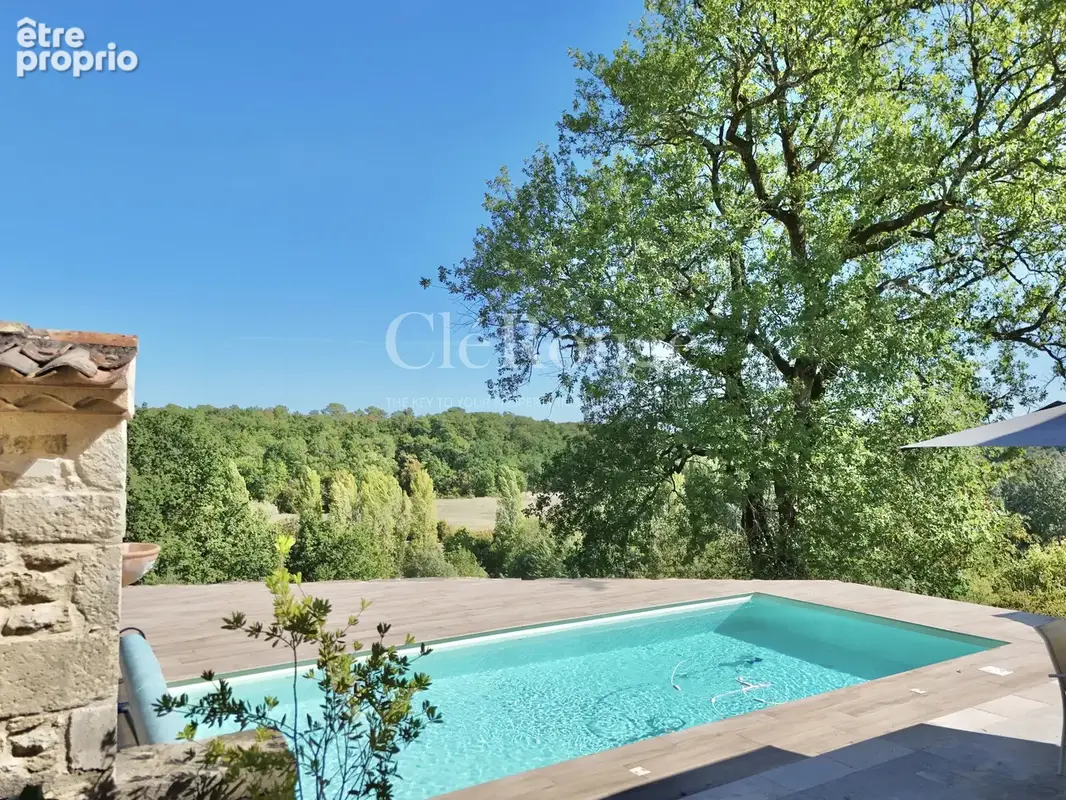 Près de Monségur – Très belle propriété avec gîte, piscine, lac et plus de 5 hectares. - photo 2