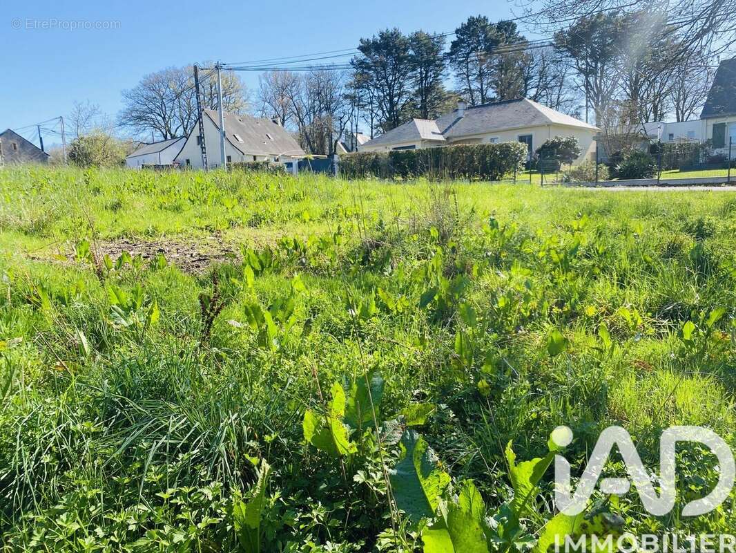 Photo 3 - Terrain à TREILLIERES