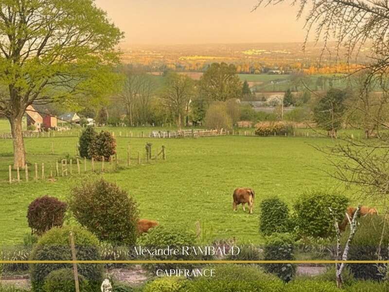 Maison à LA CHAPELLE-JANSON