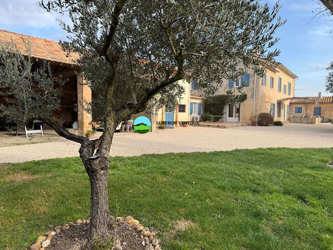 Maison à PERNES-LES-FONTAINES