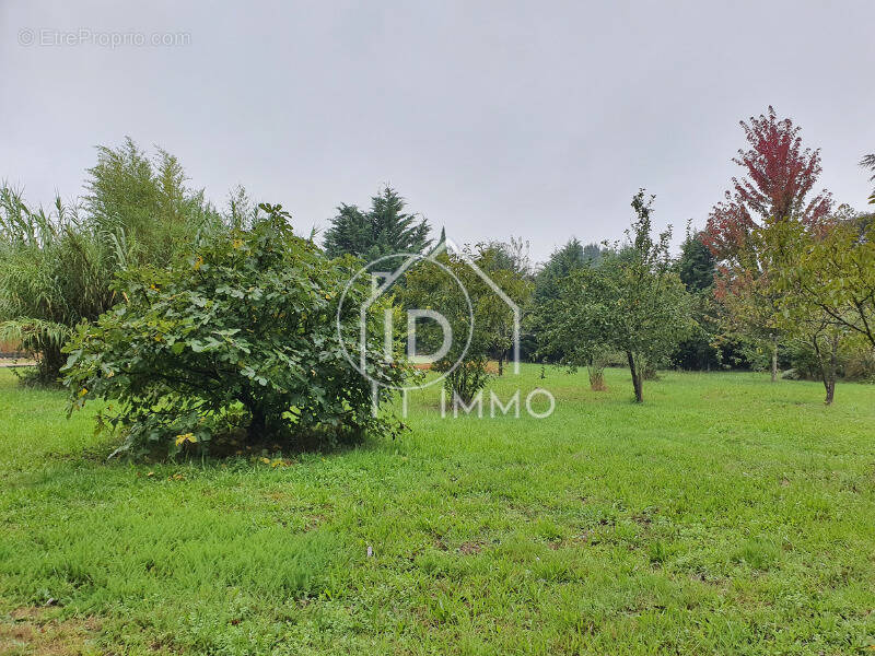 Terrain à MONTCARET