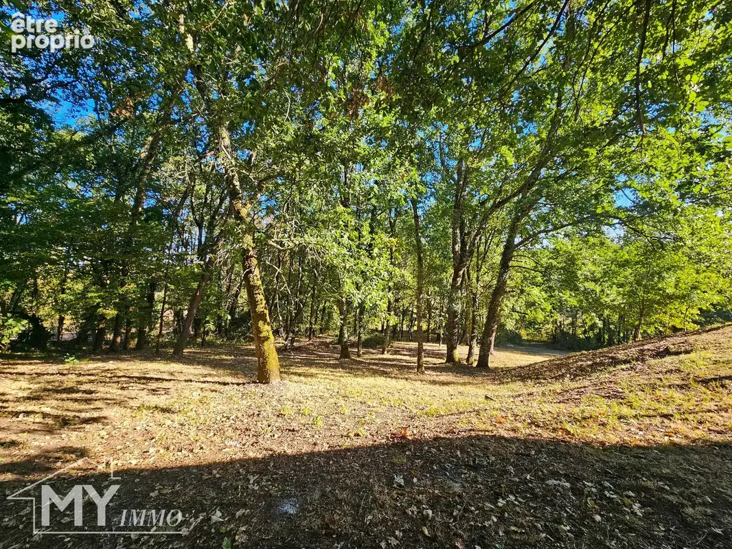 Vélines : Maison d’architecte de 218 m² avec piscine sur près de 2,8 hectares - photo 42