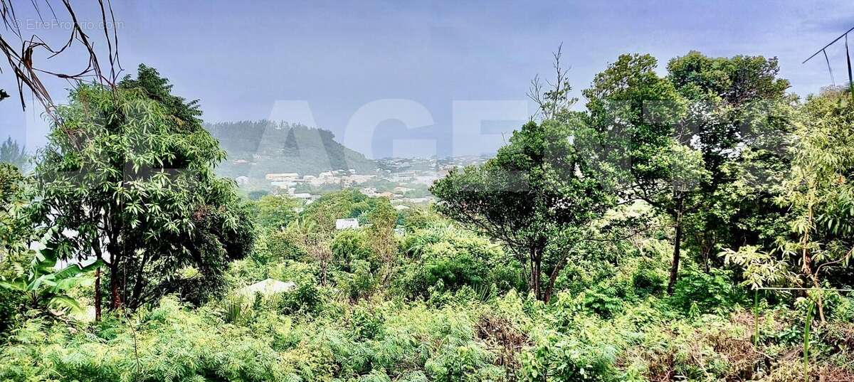 Capture d&#039;écran 2025-12-01 à 11 - Terrain à SAINT-JOSEPH