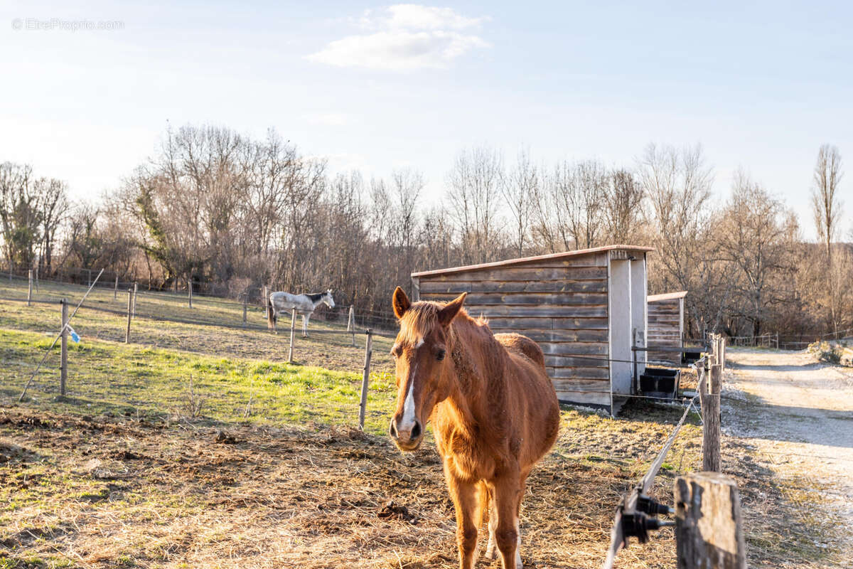 Maison à SAINT-MAURIN