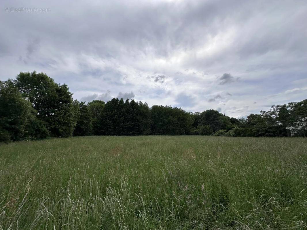 Terrain à AMBLAINVILLE
