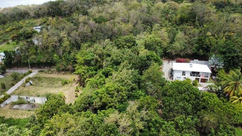 Terrain à SAINTE-LUCE