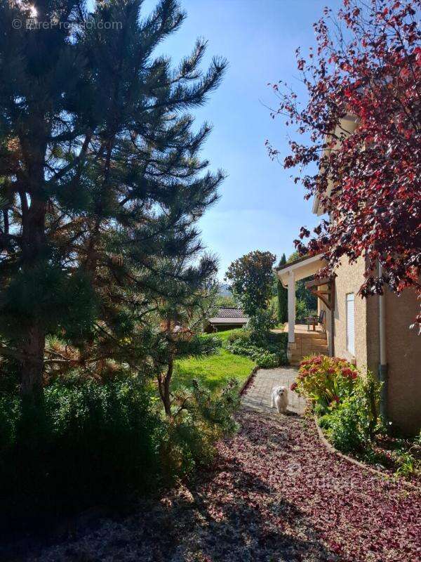 Maison à LA CHAPELLE-DE-SURIEU