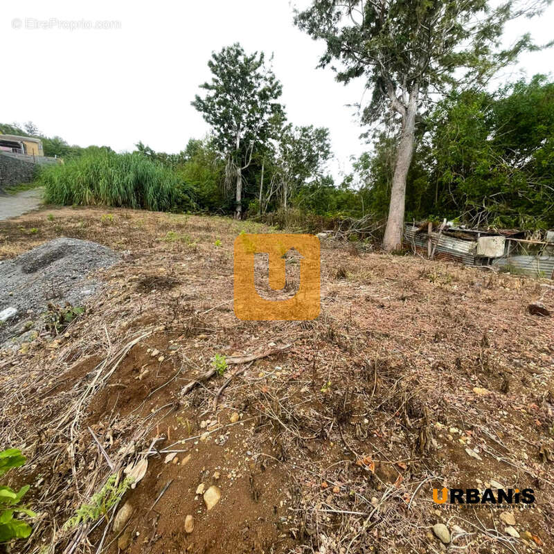 Terrain à LES TROIS-BASSINS