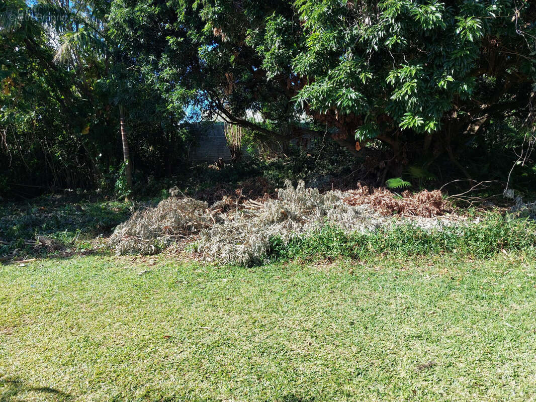 Terrain à SAINTE-MARIE