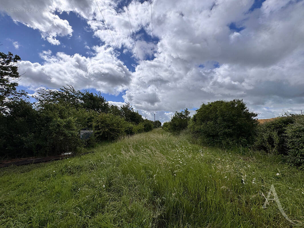 Terrain à CHAUSSOY-EPAGNY