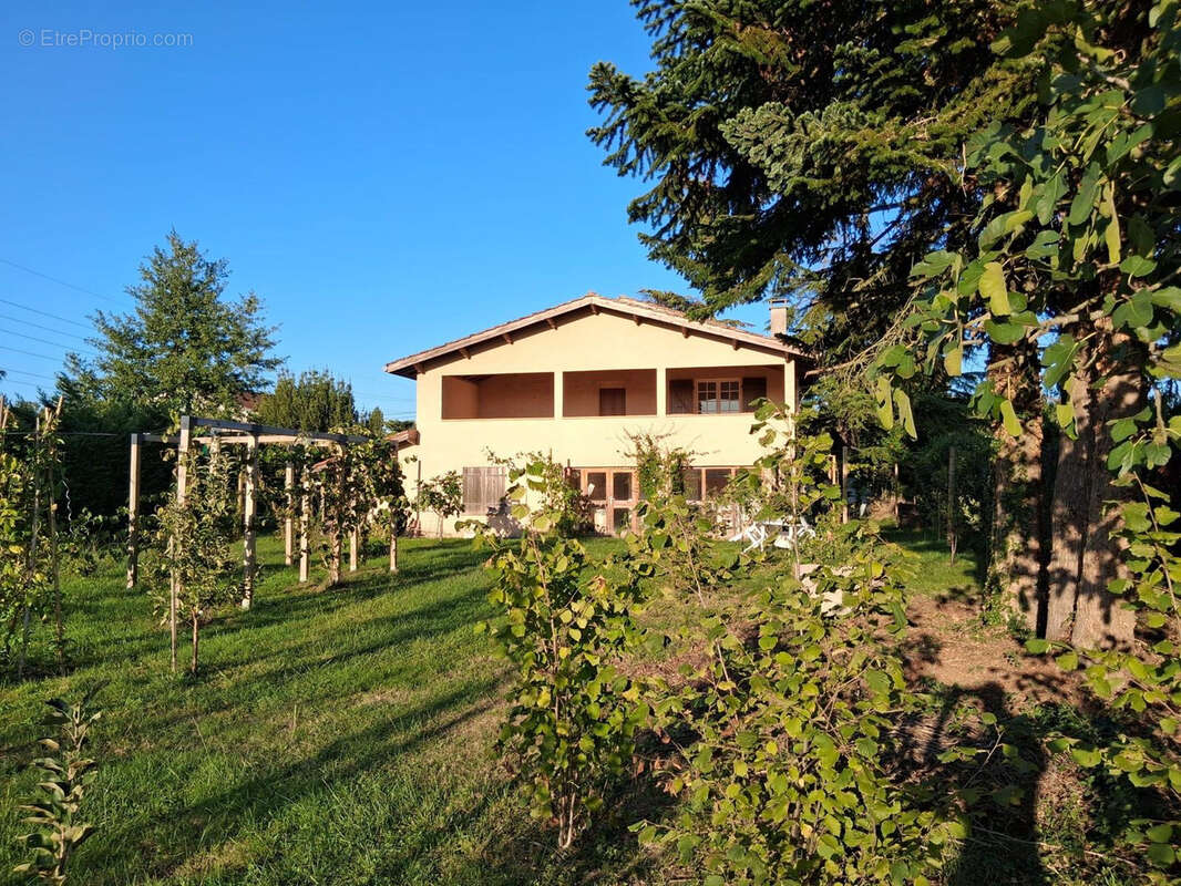 Maison à MONTAUBAN