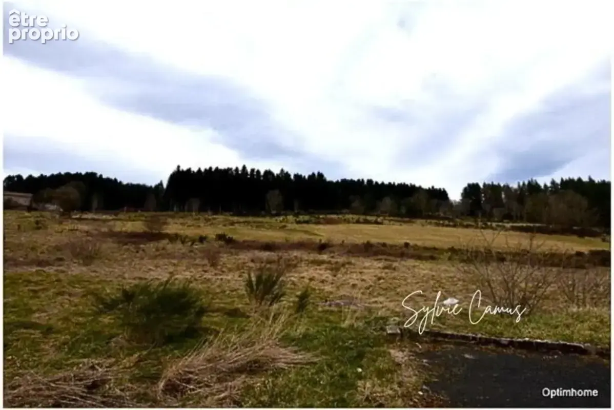 Terrain viabilisé à vendre de 911,00 m² DUNIERES (43), vue dégagée, belle situation - photo 8