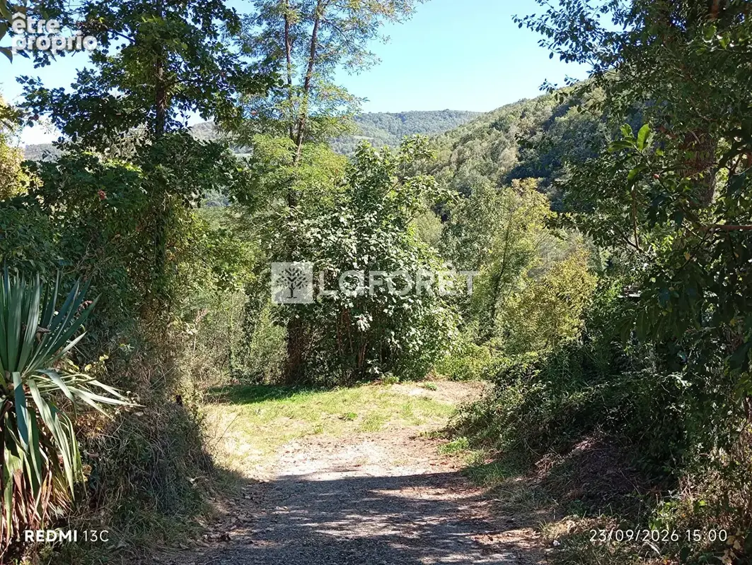 Ancien camping / 2,15 ha - prats de mollo - photo 16