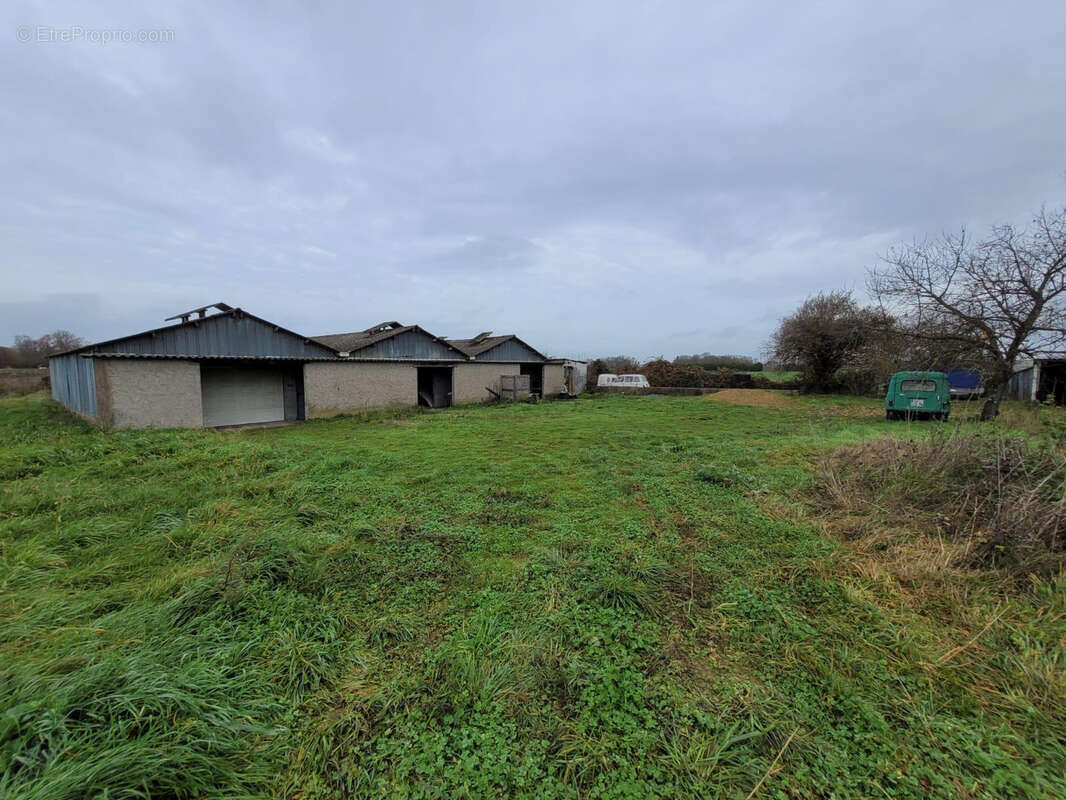Maison à BRAIN-SUR-L'AUTHION