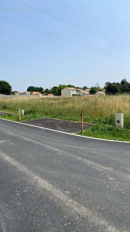 Terrain de 334 m² à ECHIRE - photo 4